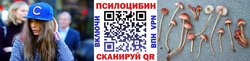 Псилоцибиновые грибы прущие грибы  Бежецк 